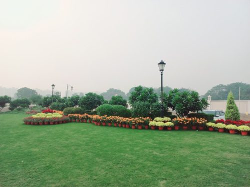 Golden Park Plots